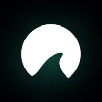 Shark Futures